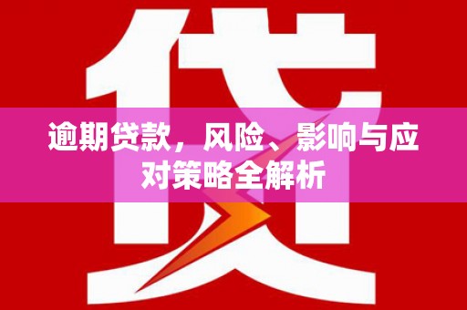阳城逾期贷款，风险、影响与应对策略全解析