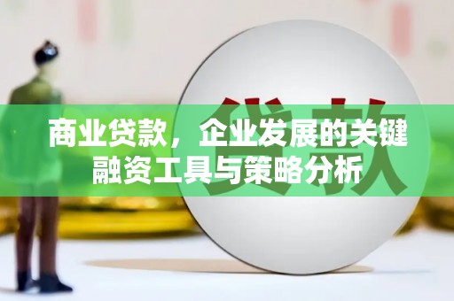 阳城商业贷款，企业发展的关键融资工具与策略分析