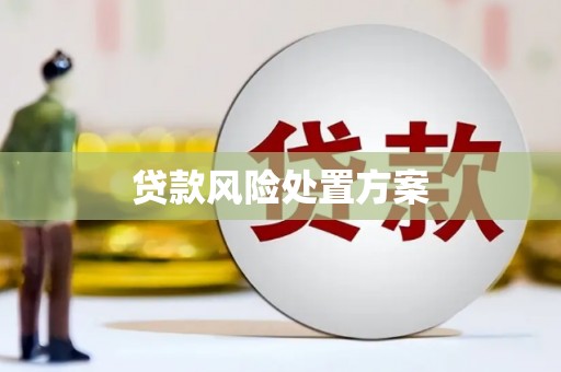 阳城贷款风险处置方案