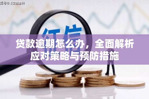 阳城贷款逾期怎么办，全面解析应对策略与预防措施