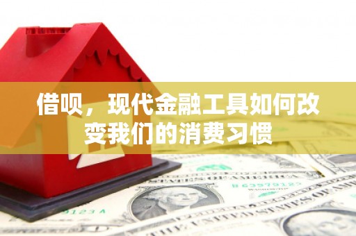 阳城借呗，现代金融工具如何改变我们的消费习惯