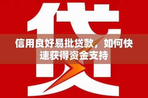 阳城信用良好易批贷款，如何快速获得资金支持