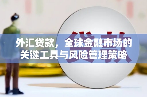 阳城外汇贷款，全球金融市场的关键工具与风险管理策略