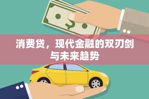 阳城消费贷，现代金融的双刃剑与未来趋势