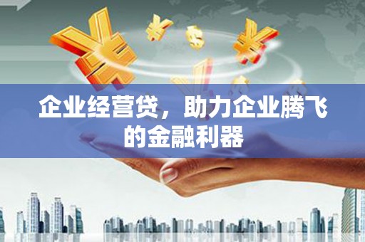 阳城企业经营贷，助力企业腾飞的金融利器