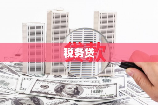 阳城税务贷