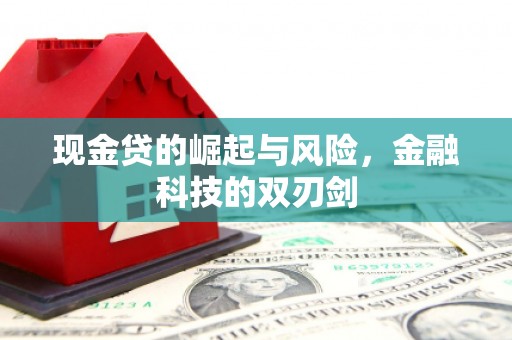 阳城现金贷的崛起与风险，金融科技的双刃剑