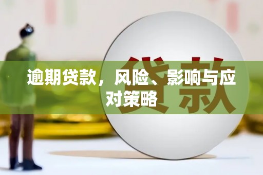 阳城逾期贷款，风险、影响与应对策略