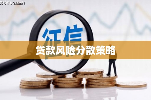 阳城贷款风险分散策略