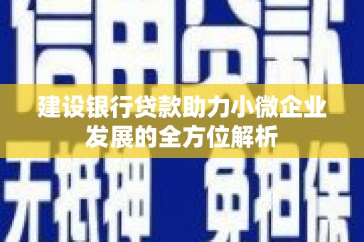 阳城建设银行贷款助力小微企业发展的全方位解析