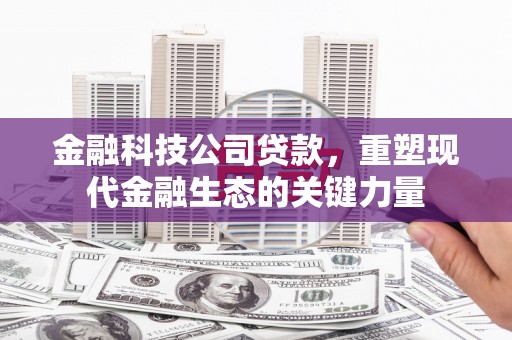 阳城金融科技公司贷款，重塑现代金融生态的关键力量
