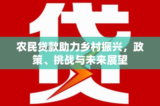阳城农民贷款助力乡村振兴，政策、挑战与未来展望