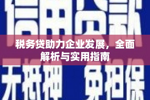 阳城税务贷助力企业发展，全面解析与实用指南