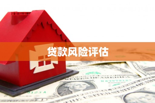阳城贷款风险评估