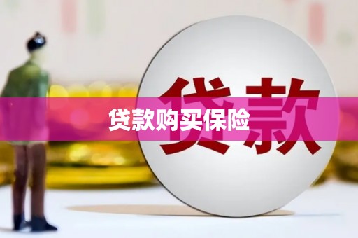 阳城贷款购买保险