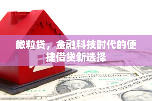 阳城微粒贷，金融科技时代的便捷借贷新选择