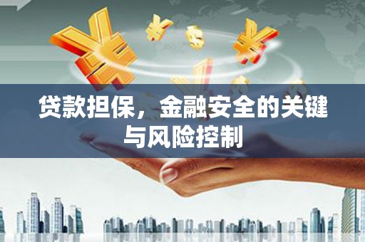 阳城贷款担保，金融安全的关键与风险控制