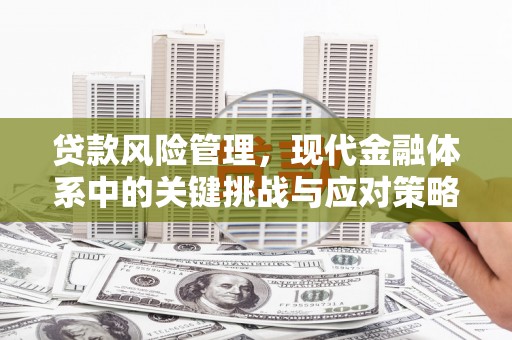 阳城贷款风险管理，现代金融体系中的关键挑战与应对策略