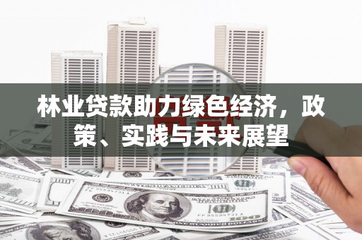 阳城林业贷款助力绿色经济，政策、实践与未来展望