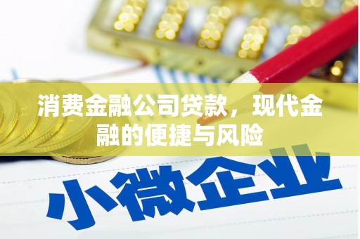 阳城消费金融公司贷款，现代金融的便捷与风险