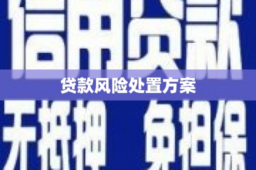阳城贷款风险处置方案