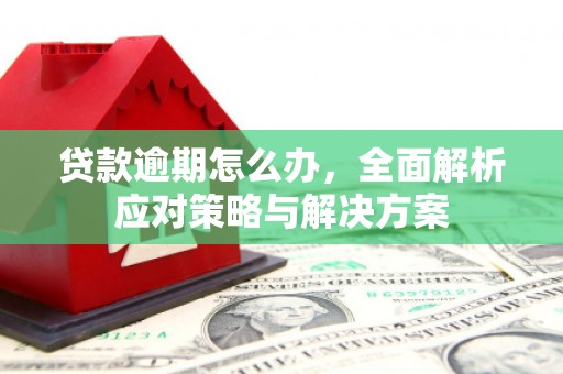阳城贷款逾期怎么办，全面解析应对策略与解决方案